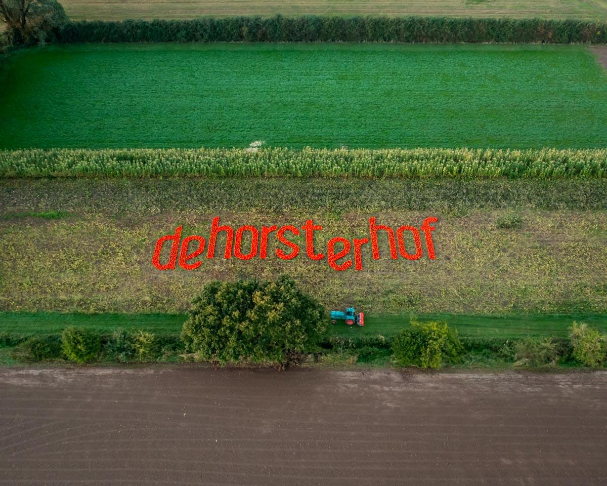 Lees meer over het artikel Biologische boerderij de Horsterhof