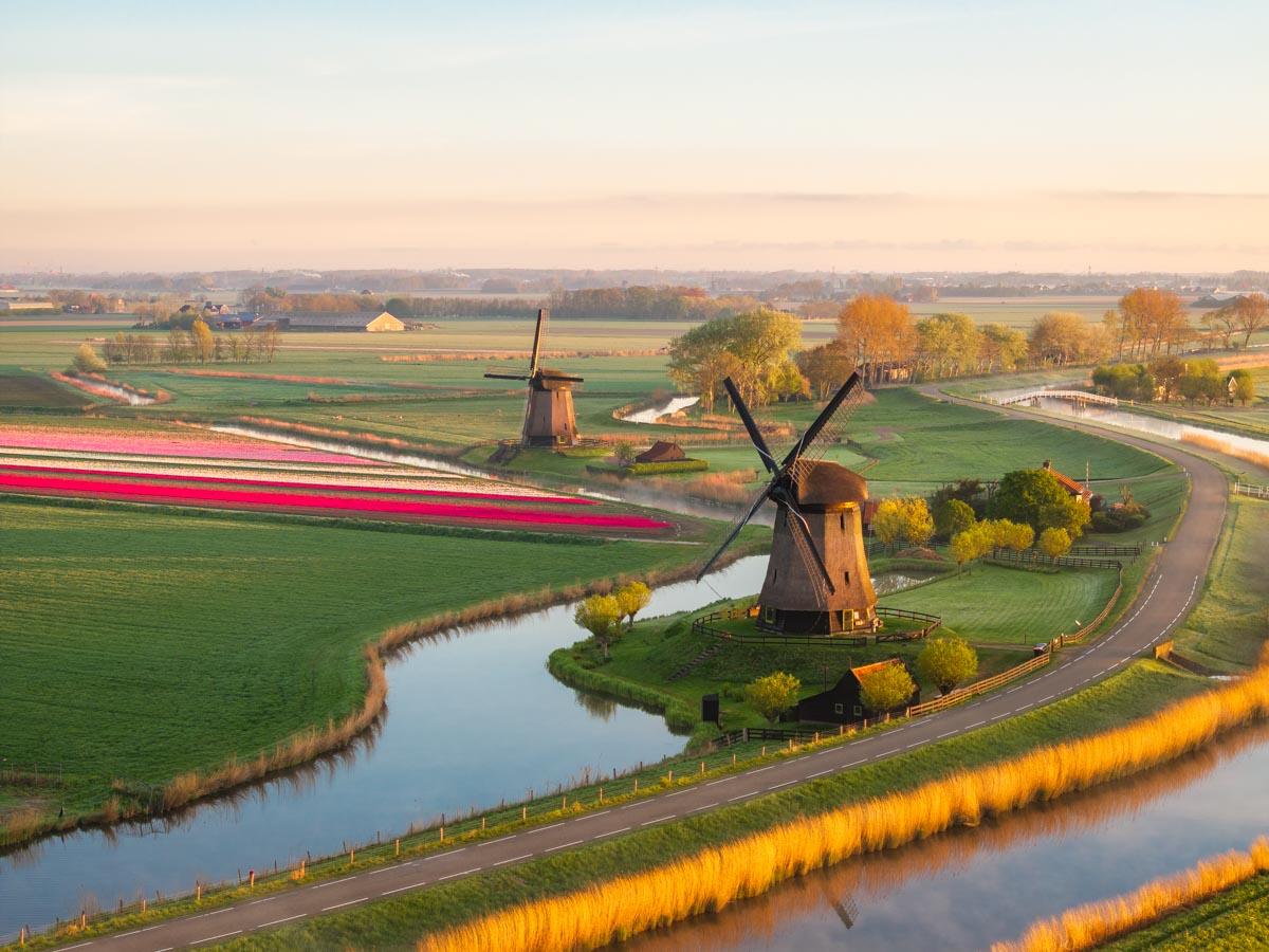 Lees meer over het artikel Tulpenfestival Noord Holland