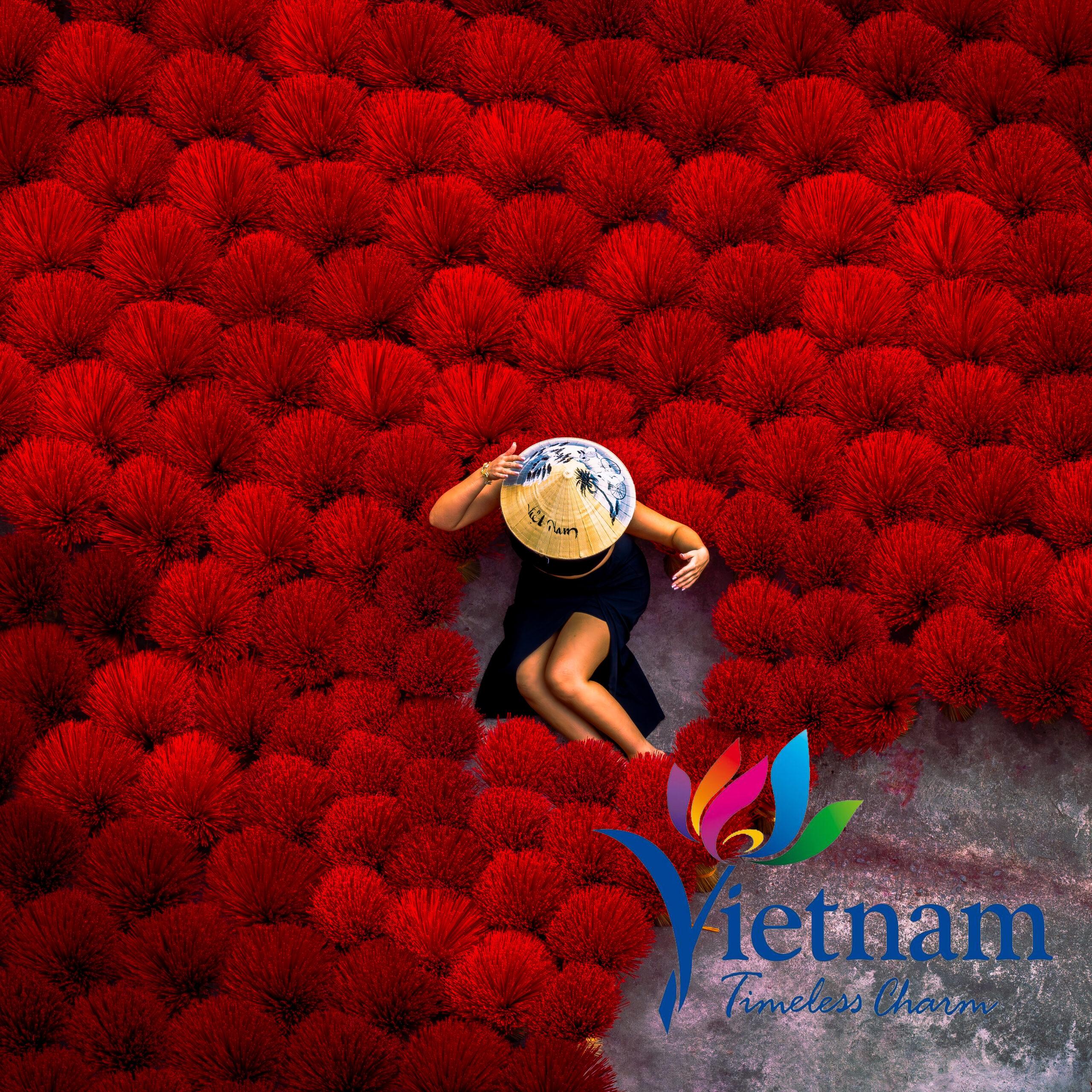 Lees meer over het artikel Discover Vietnam from Above